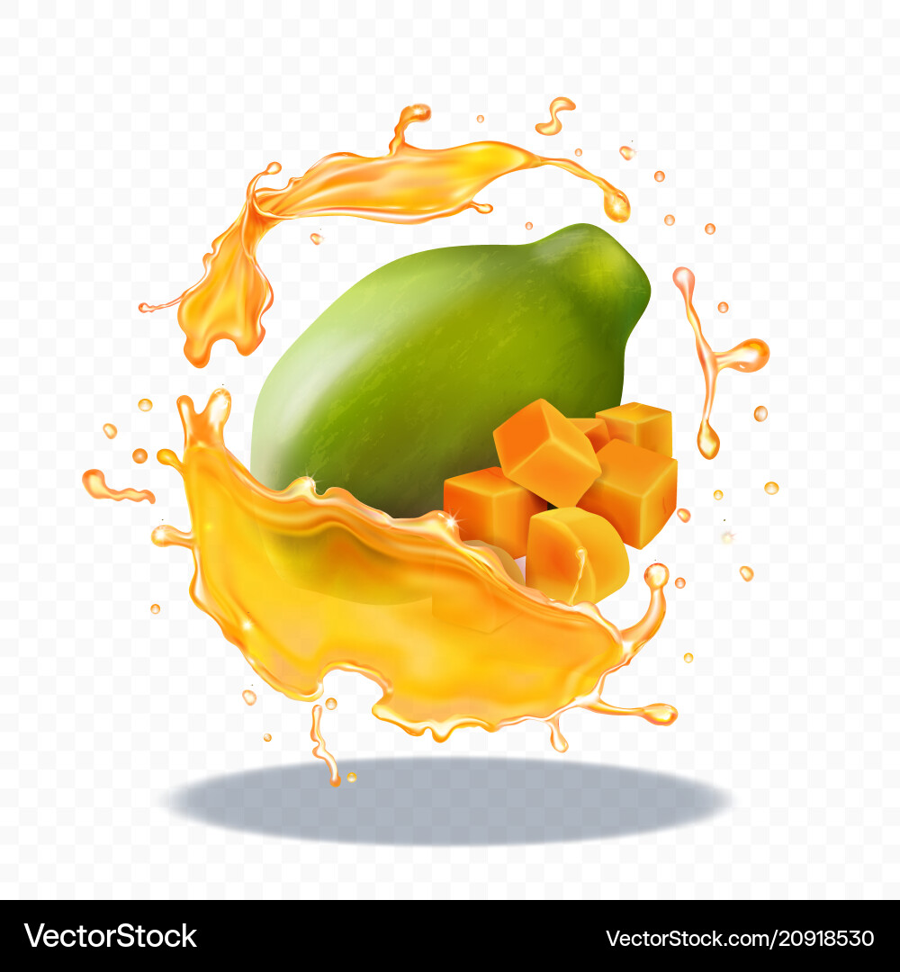 Papaya juice splash realistic fruit icon Vector Image