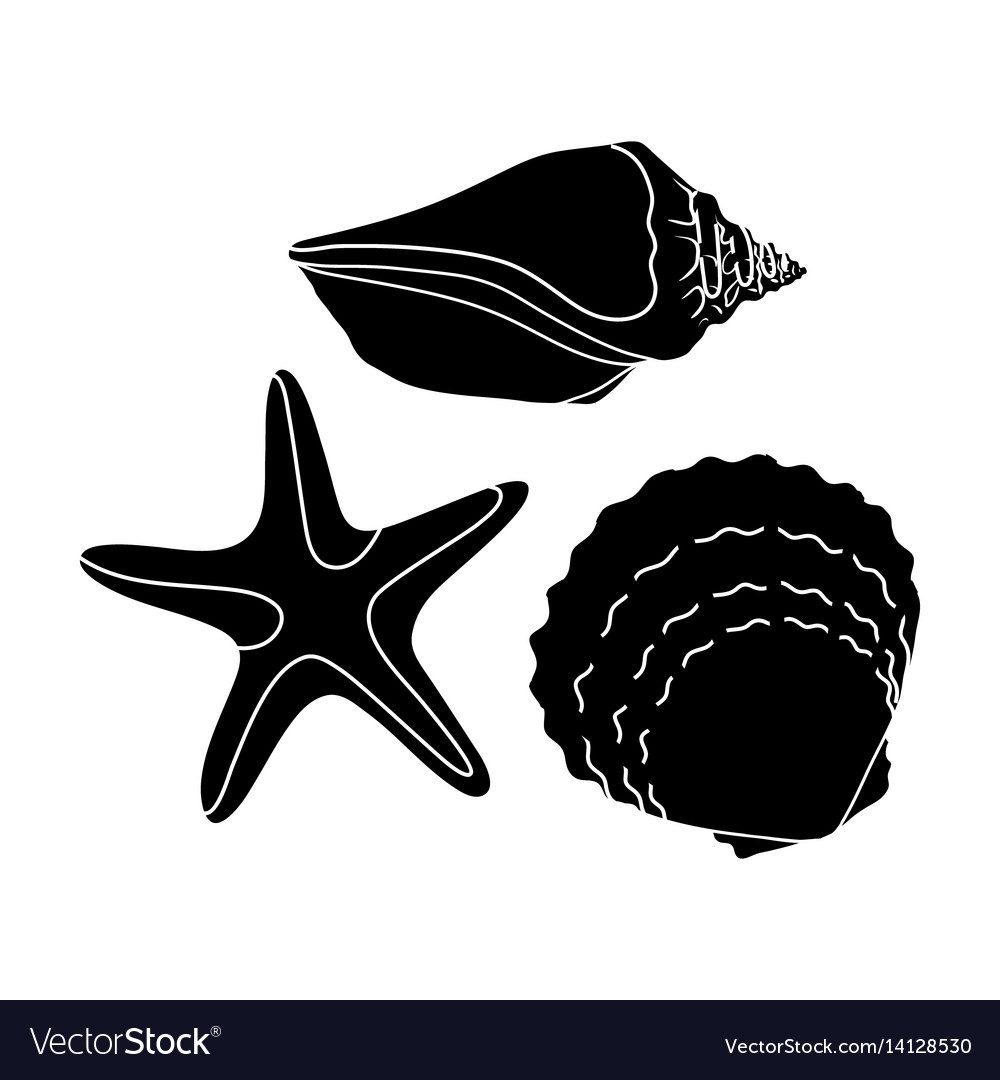 Seashells from the bottom of seasummer rest