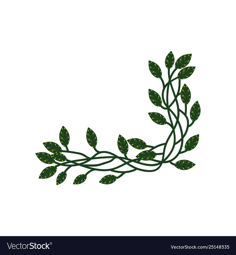 Branch with green leaves natural design element Vector Image Branch with green leaves natural design element