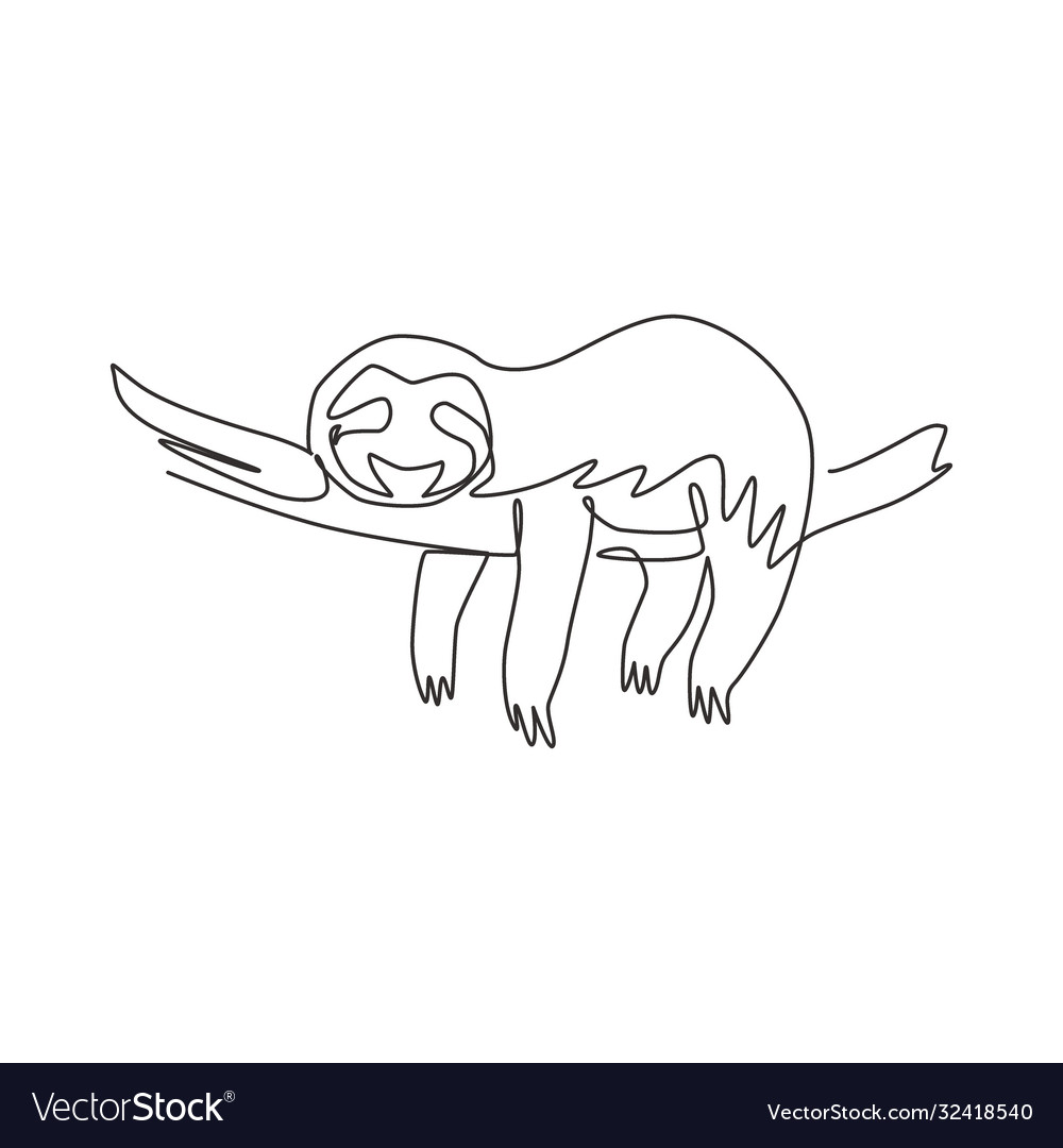 Sloth line drawing