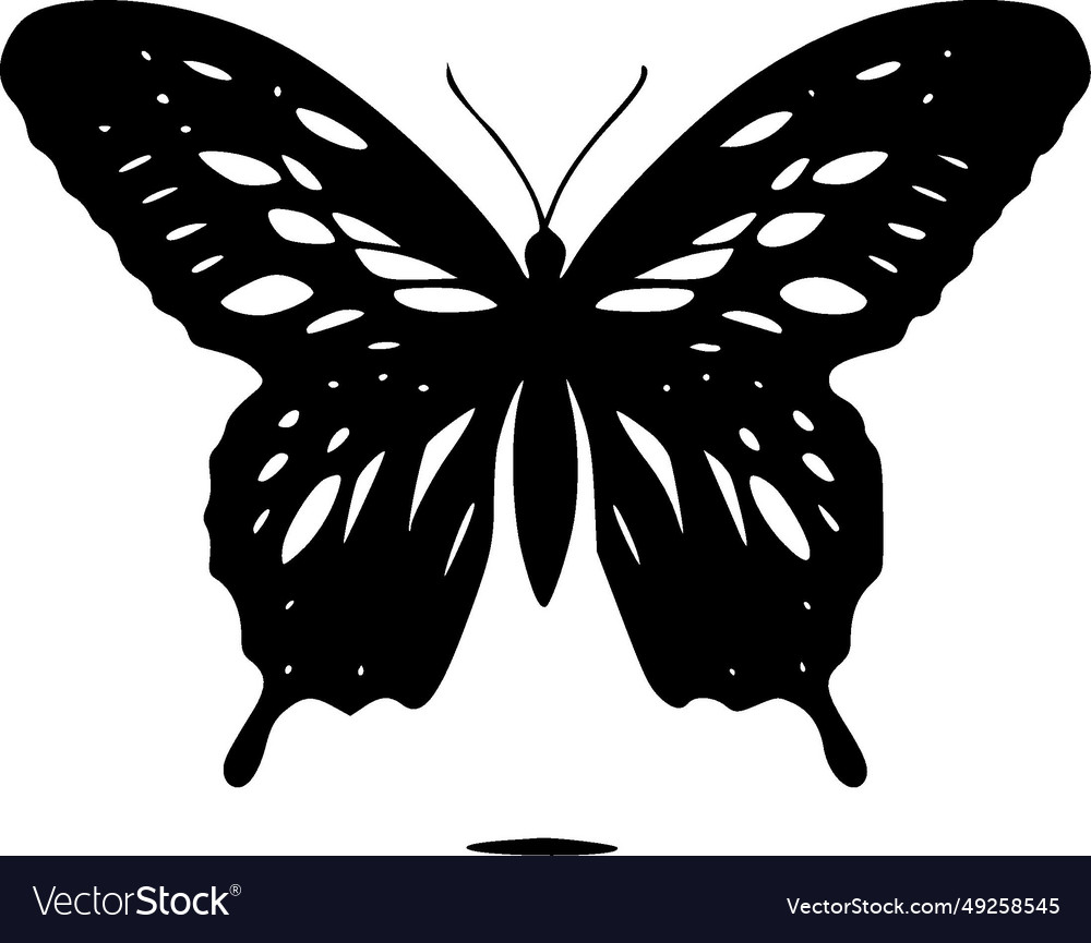 Butterfly - black and white