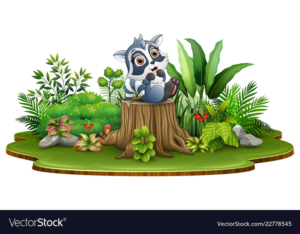 Cartoon happy raccoon sitting on tree stump with g