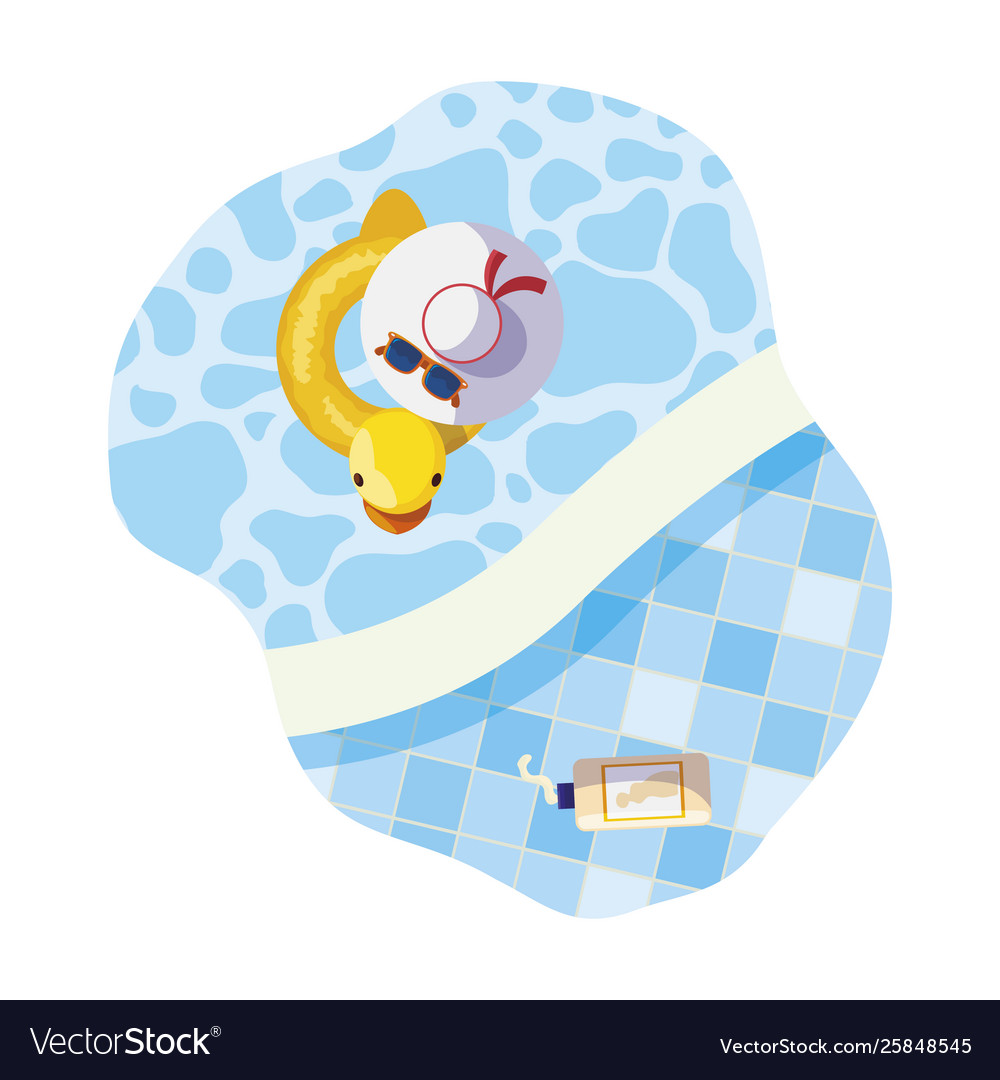 Edge pool with duck float and hat scene vector image Edge pool with duck float and hat scene