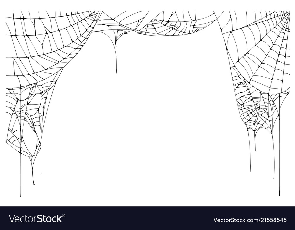 Torn Spiderweb Frame