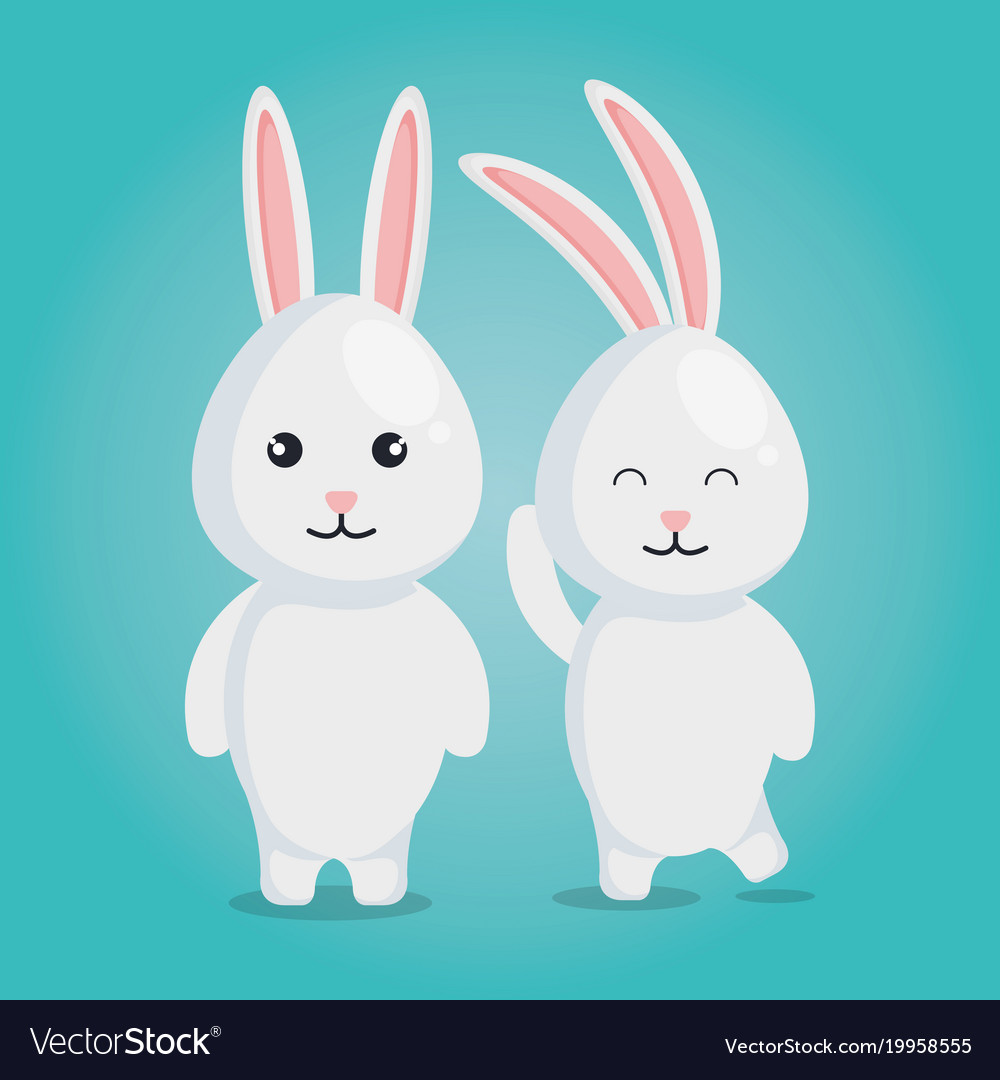 Cute rabbits couple characters