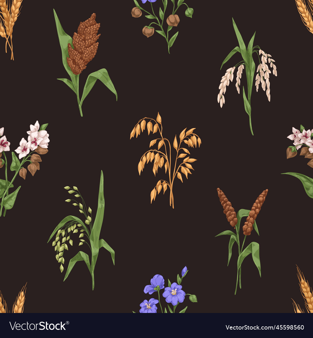 Seamless cereal pattern endless background