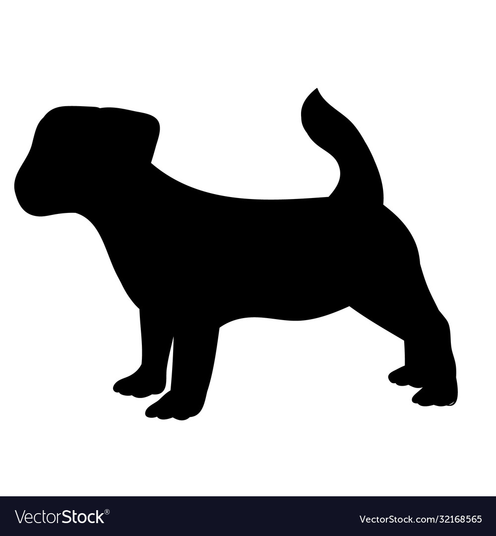 Black silhouette a dog standing