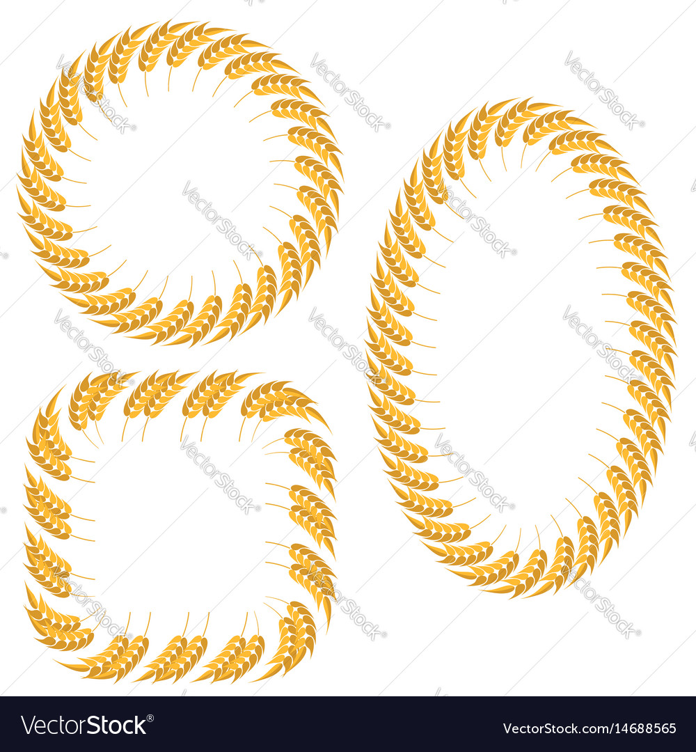Set of different wheat frames isolated
