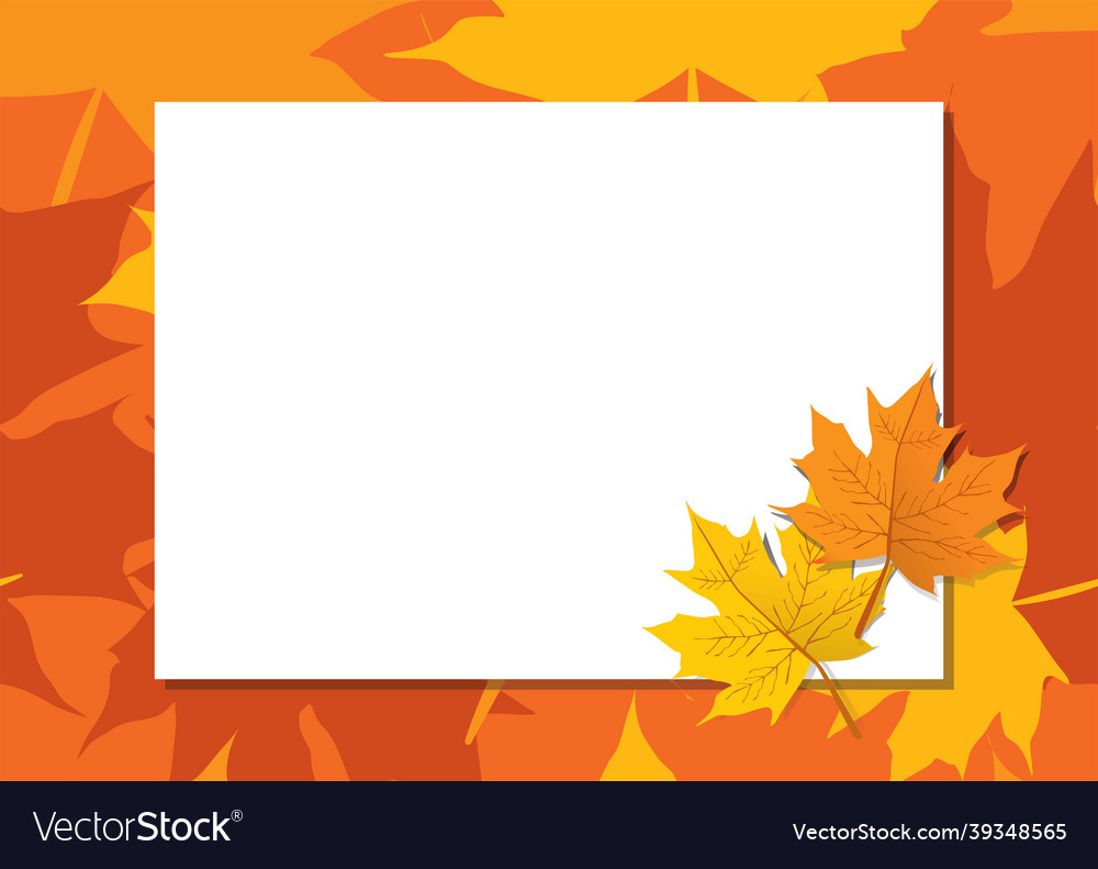 Template for autumn concept maple leaf frame vector image Template for autumn concept maple leaf frame