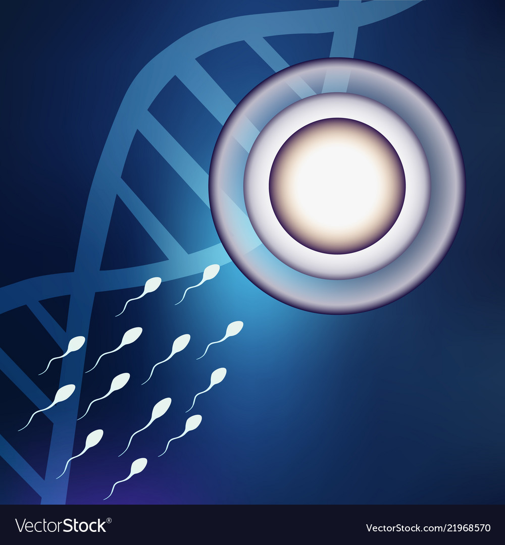 Fertile egg cells the first stage of birth