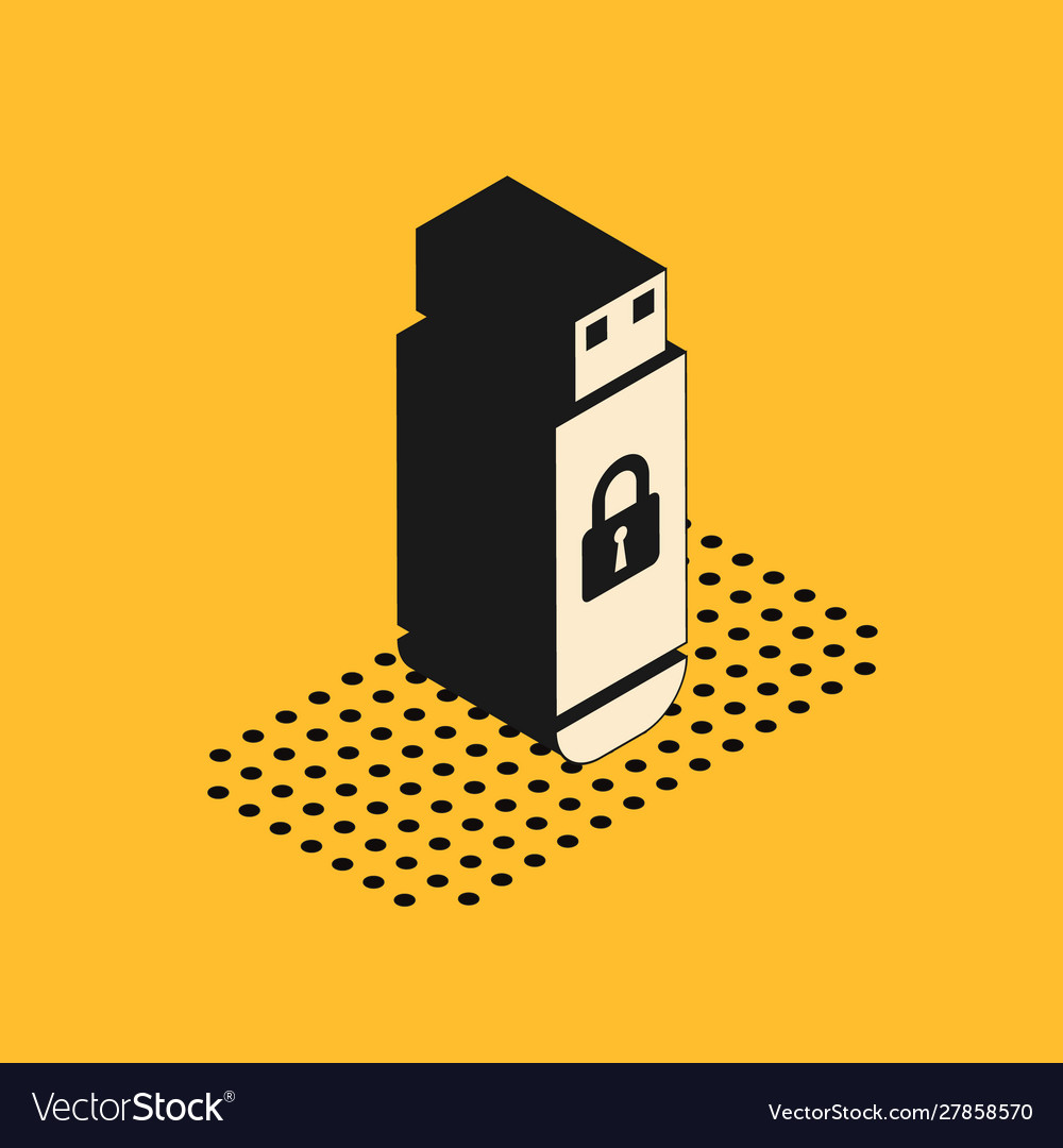 Isometric usb flash drive with closed padlock icon