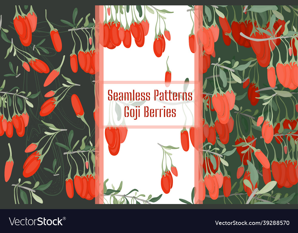 Seamless patterns with color goji berriy and twigs vector image Seamless patterns with color goji berriy and twigs