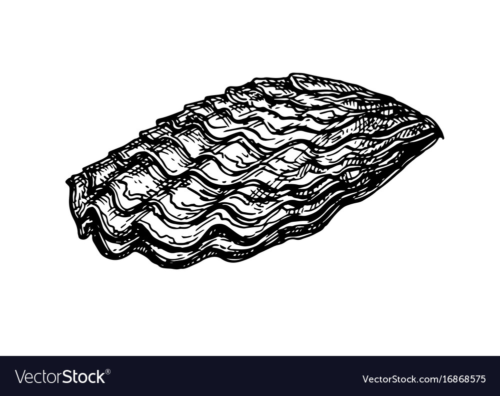 Устрица растровое черное белое