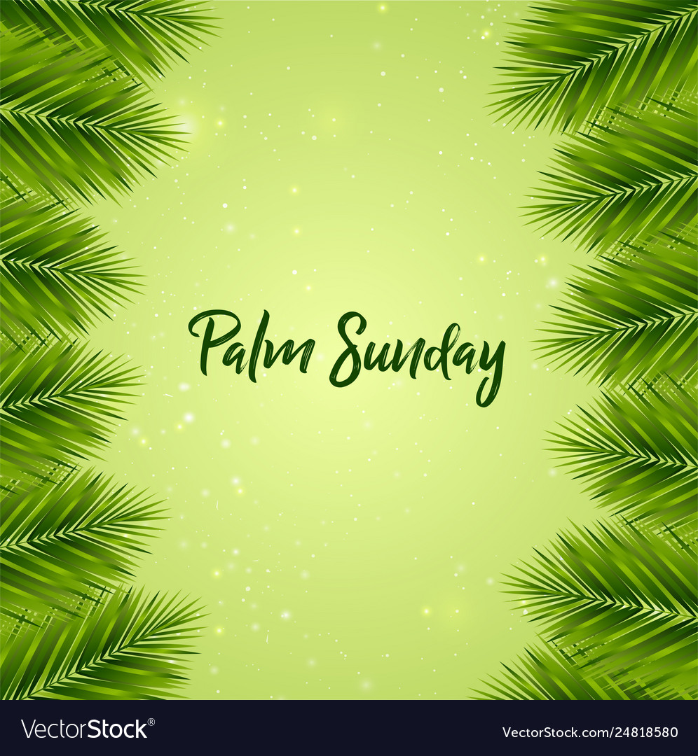 Palm sunday background Royalty Free Vector Image