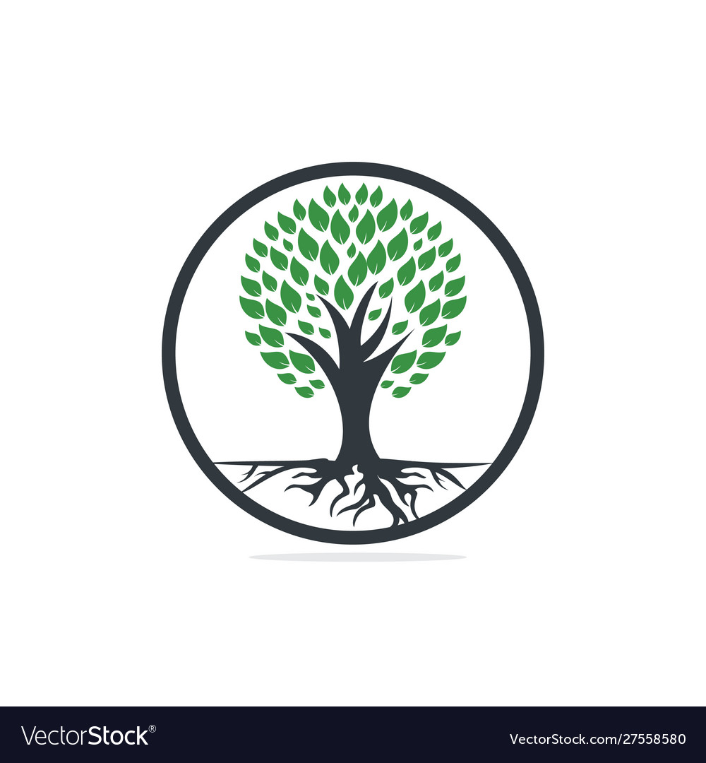 Tree Roots Logo Design Royalty Free Vector Image