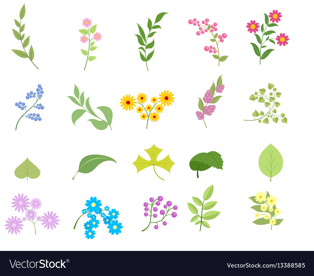 Flowers and leafs set