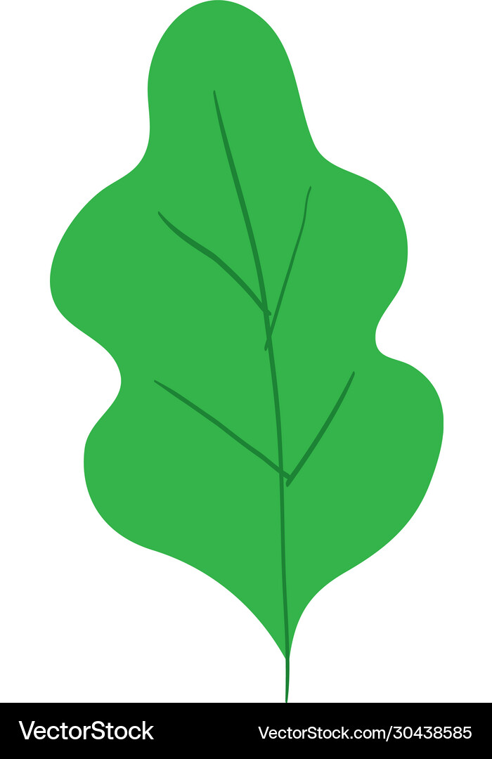 Isolated leaf icon design Royalty Free Vector Image
