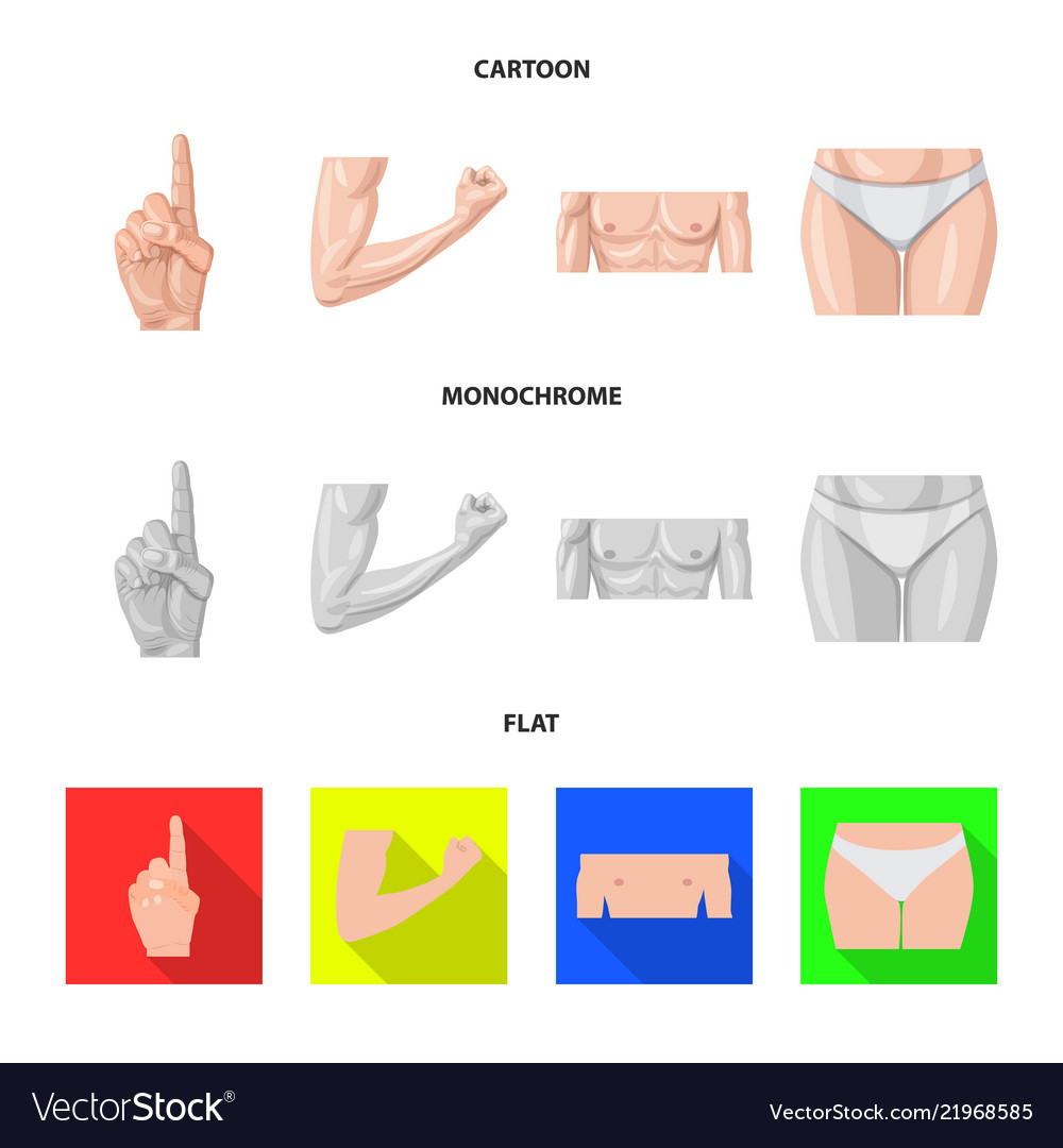 Isolated object of human and part symbol set vector image Isolated object of human and part symbol set