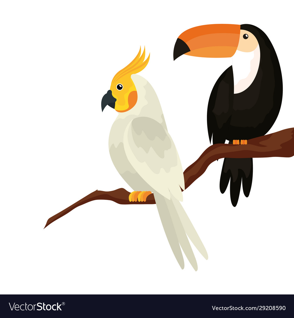 Parrot with toucan in tree branch isolated icon