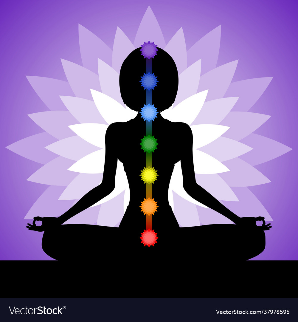 Young woman meditates in lotus position Royalty Free Vector