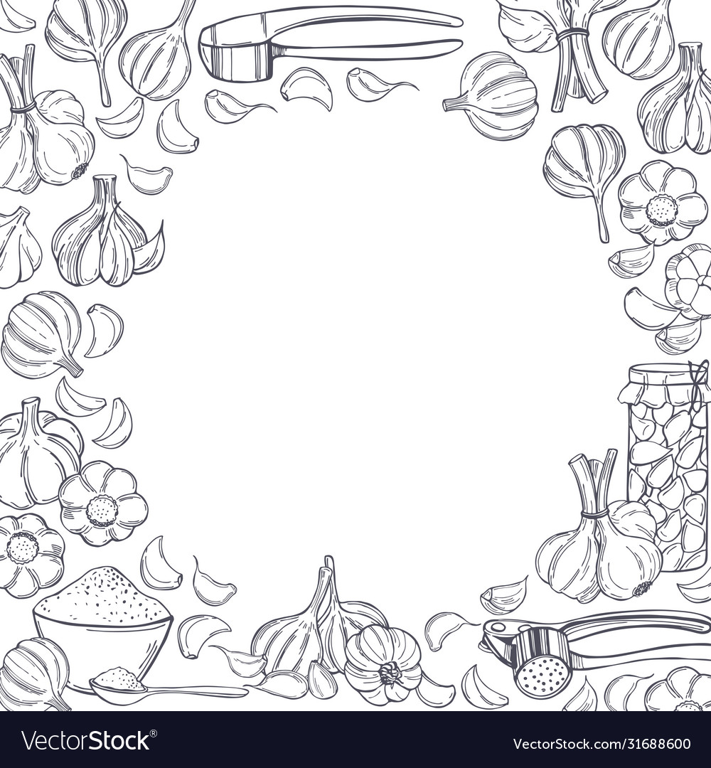 Background with hand drawn garlic sketch