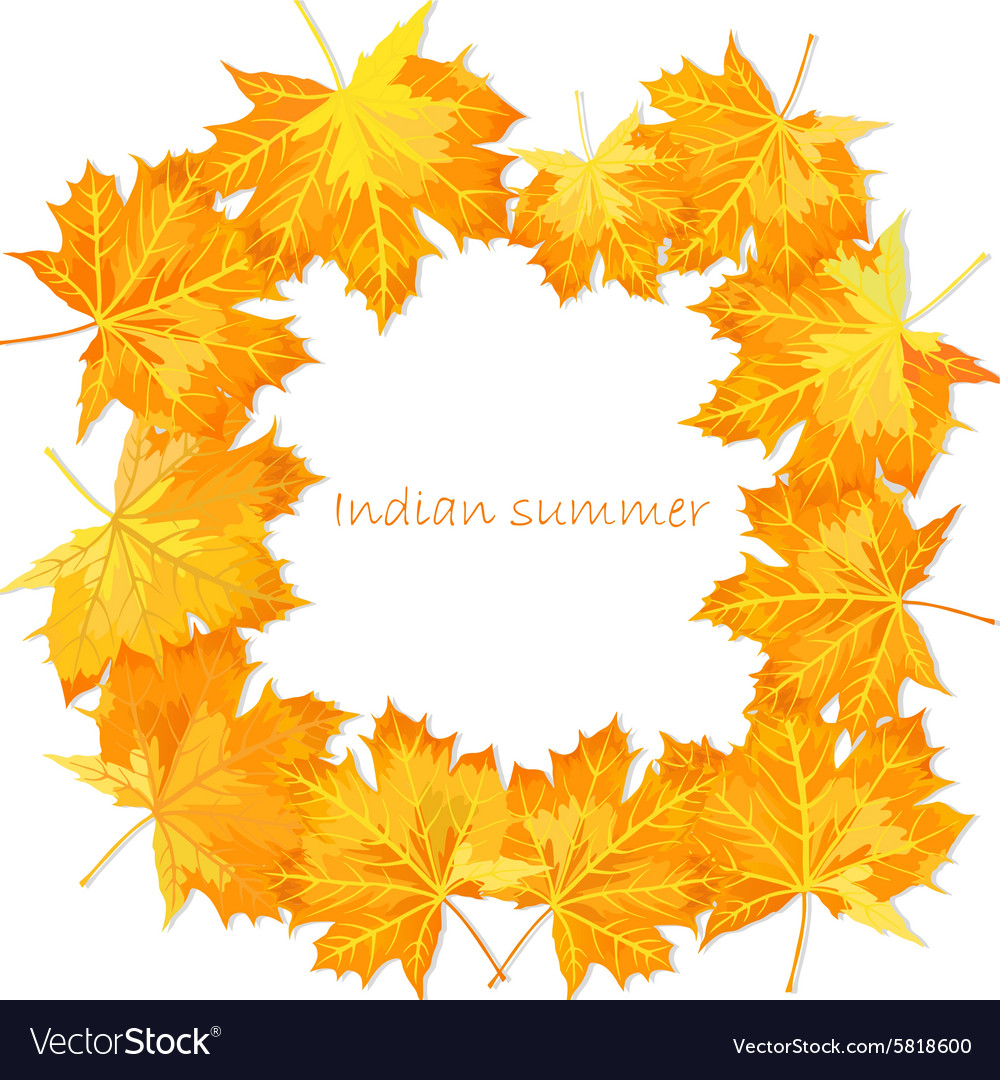 Design template autumn maple leaves