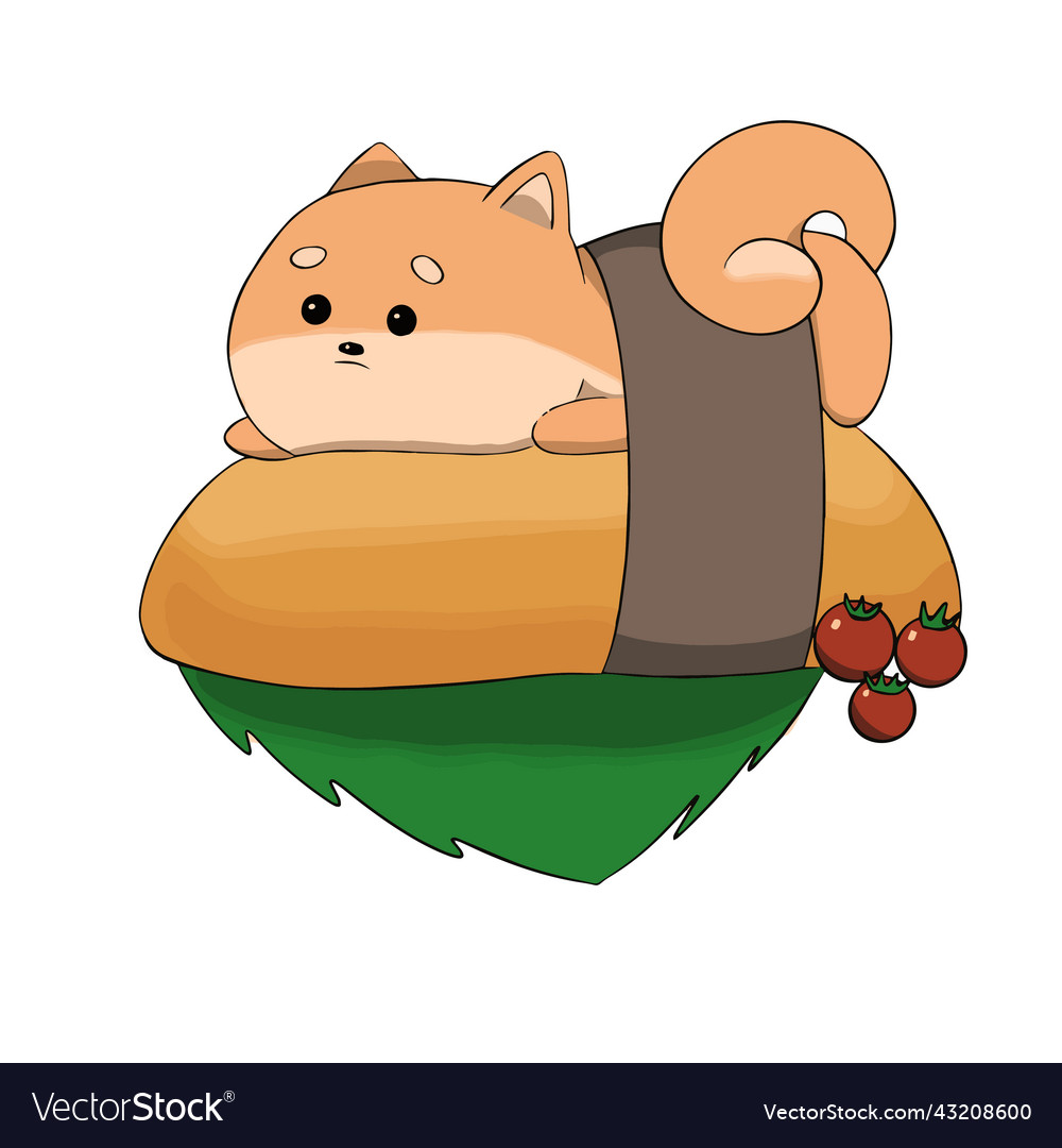 Shiba inu lies on his stomach the island next