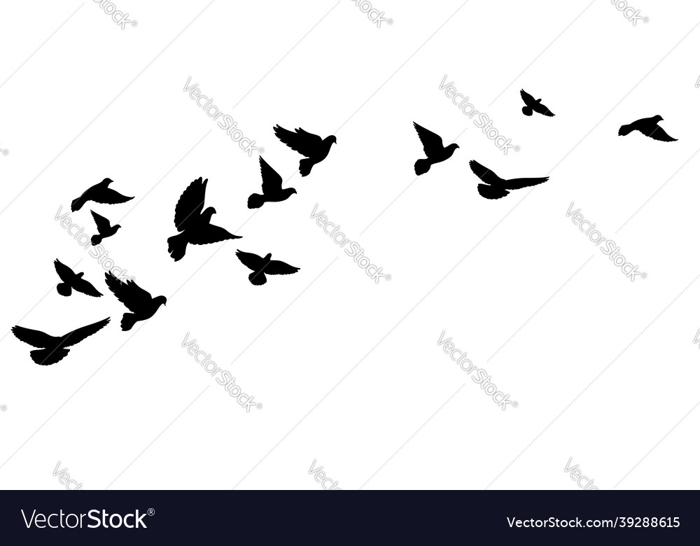 Black Pigeons in Flight Silhouettes