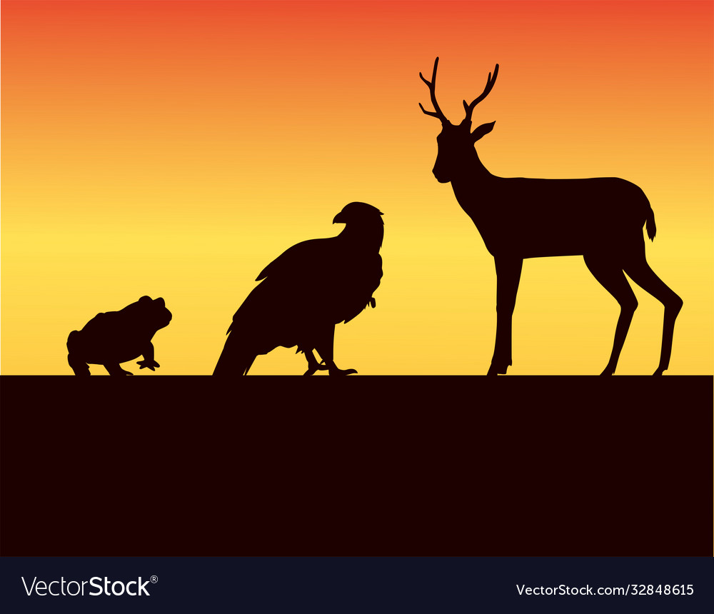 Group wild animals silhouettes in sunset