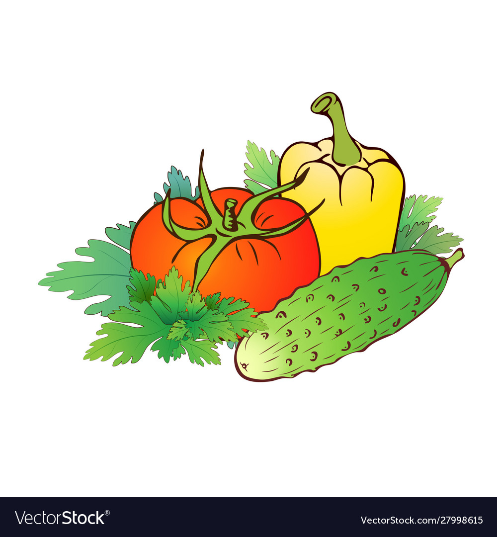 Free Vector, Realistic drawing vegetables