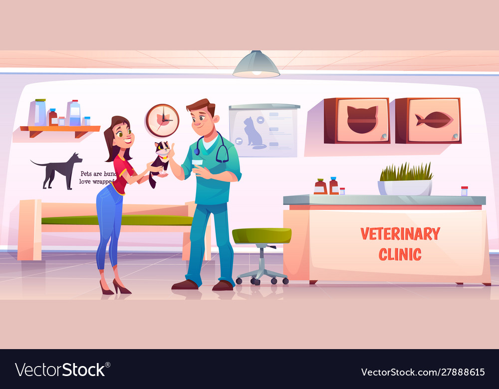 Young woman giving cat to veterinarian doctor Vector Image