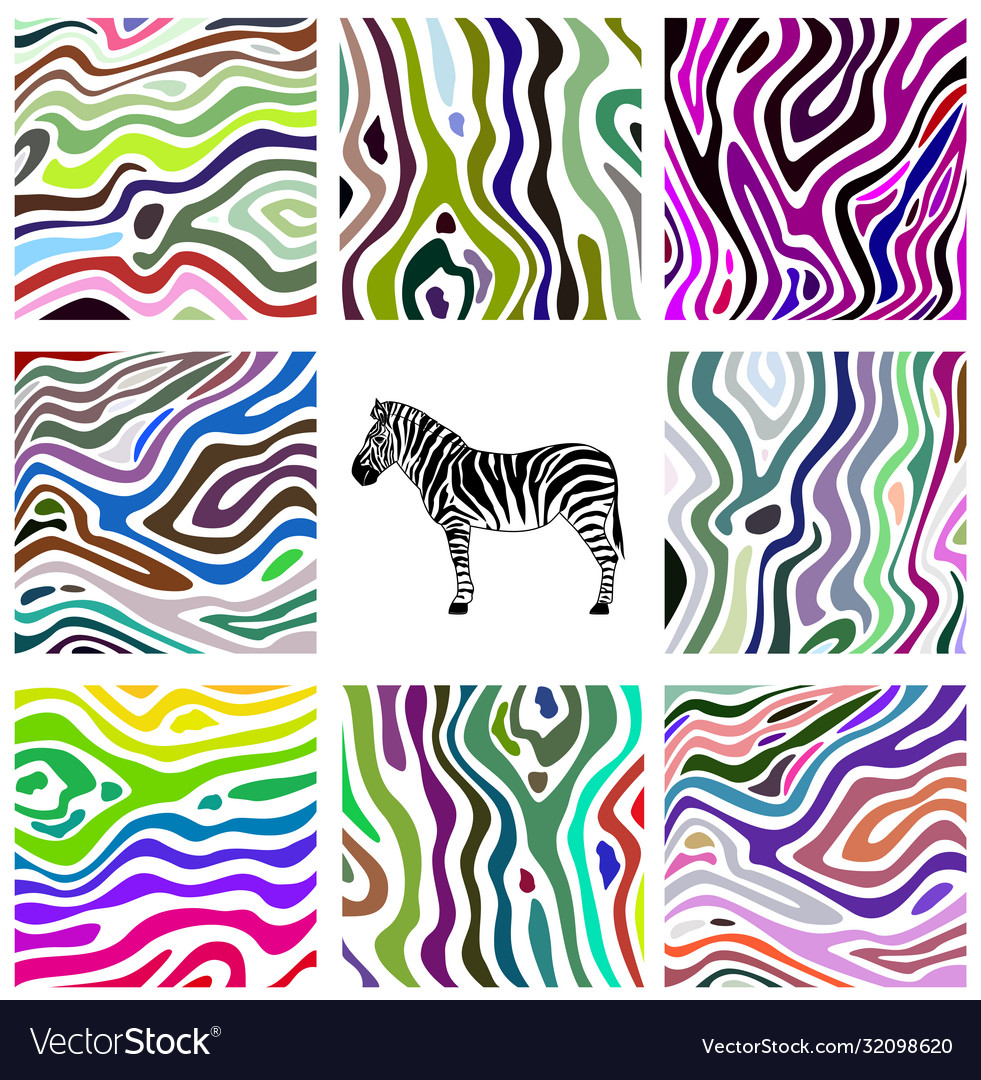 Colorful abstract set zebra pattern