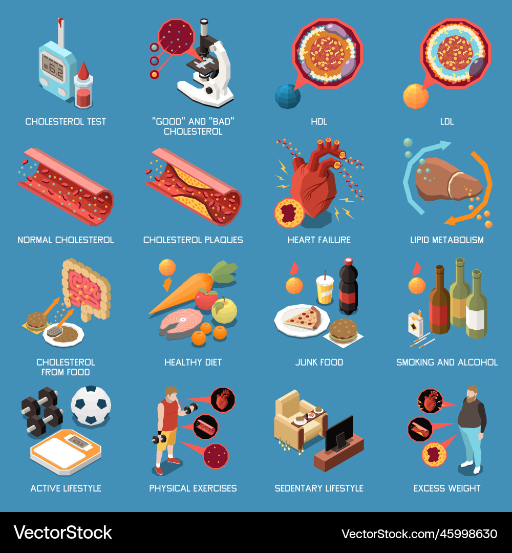 Cholesterol isometric set Royalty Free Vector Image