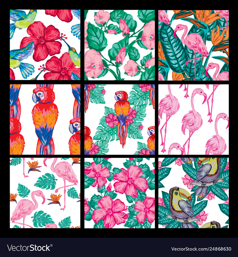 Seamless patterns set vector image Seamless patterns set