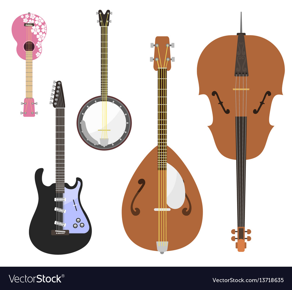 Set of stringed musical instruments classical vector image Set of stringed musical instruments classical