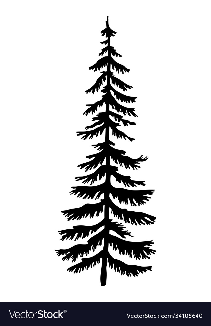 Black silhouette fir-tree christmas tree Vector Image