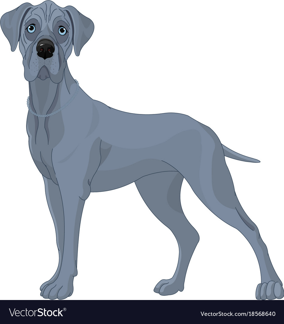 Great danes dog Royalty Free Vector Image - VectorStock