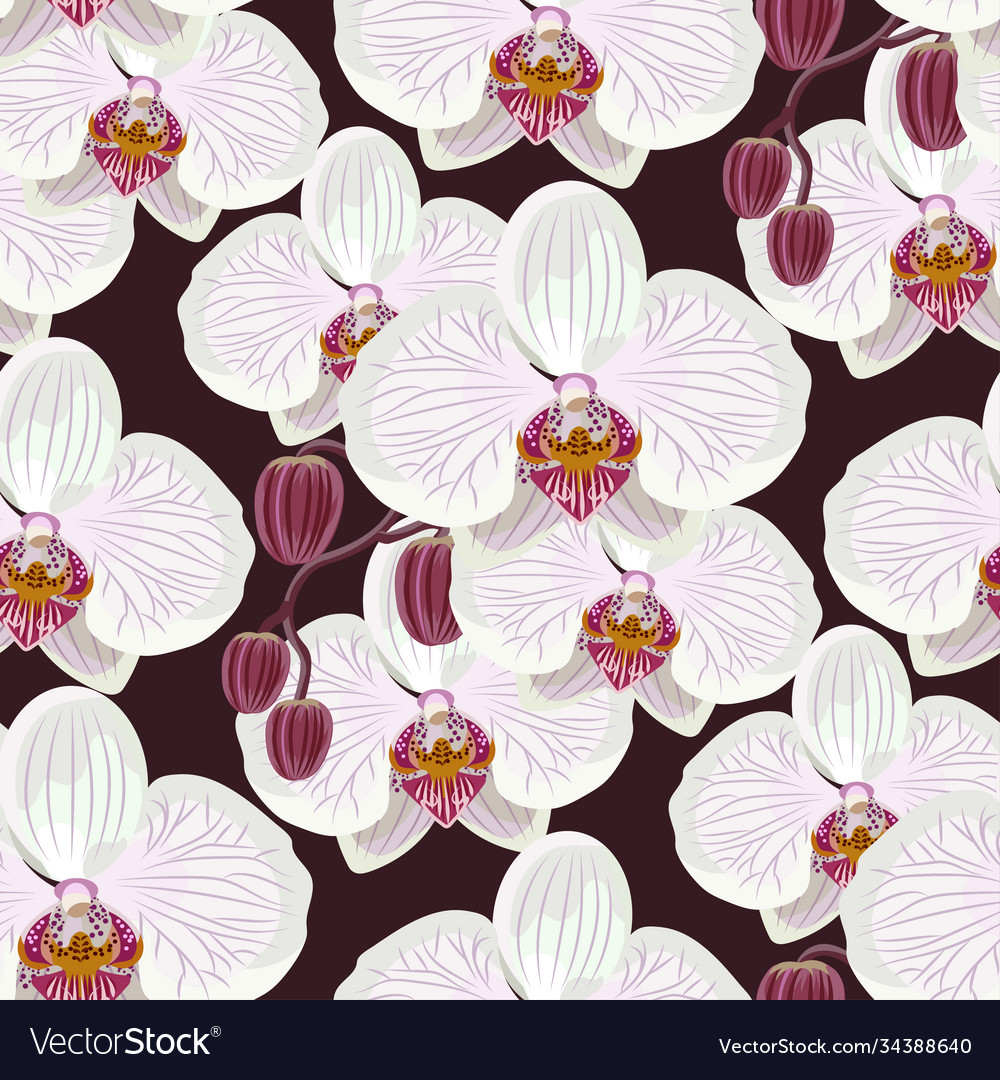 Seamless pattern with white orchids