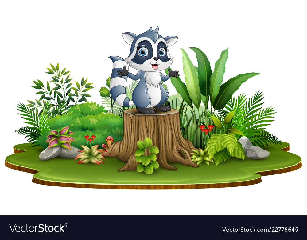 Cartoon happy racoon standing on tree stump with g