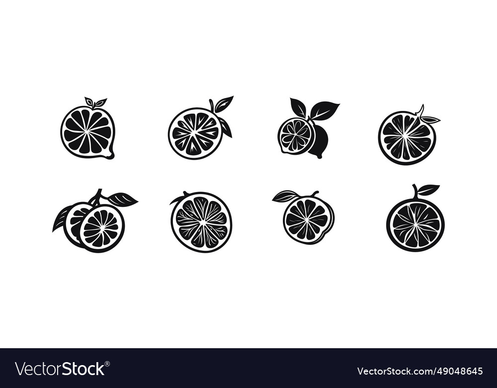 Citrus splash refreshing icons for invigorating