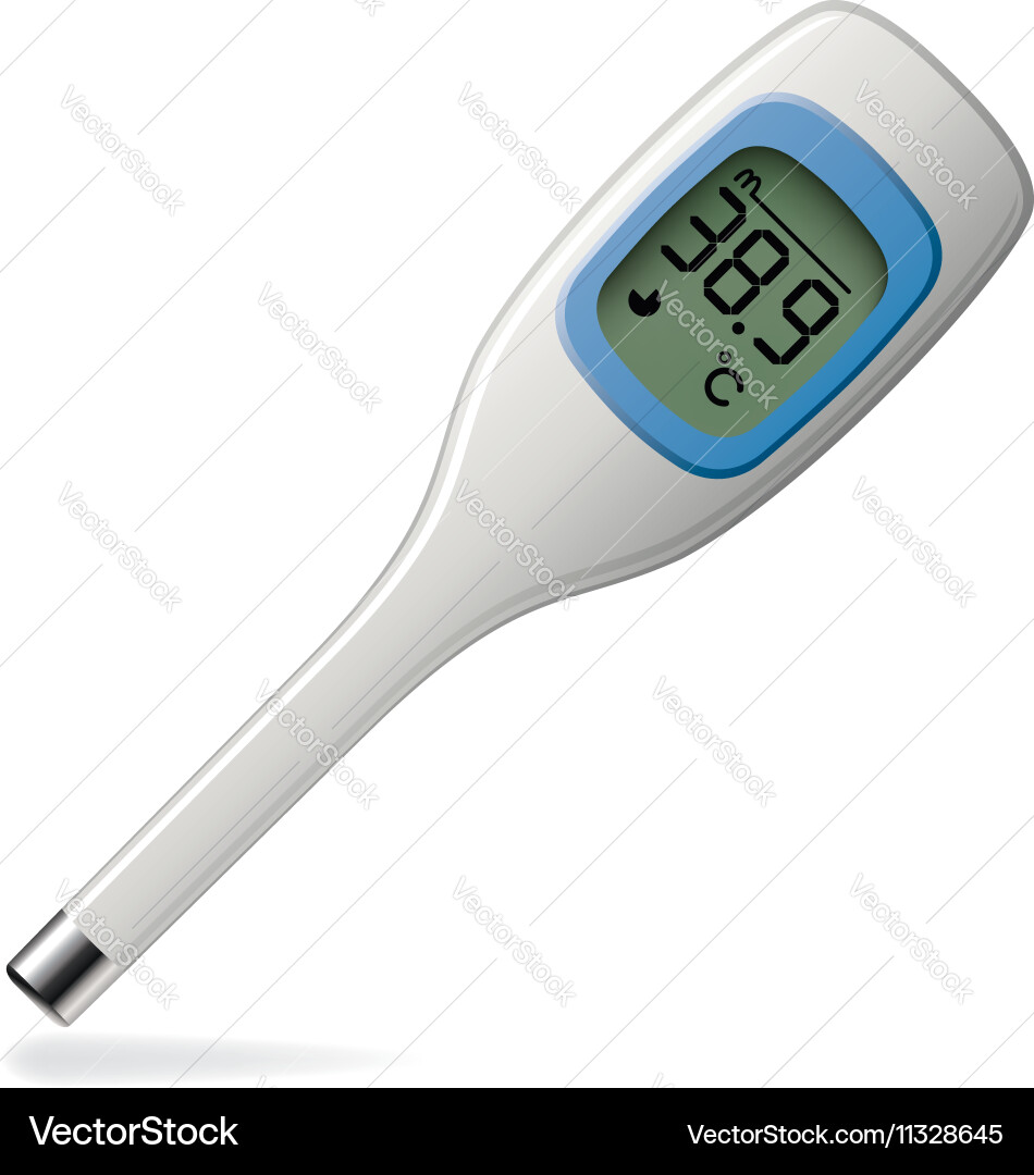 Electronic thermometer Royalty Free Vector Image