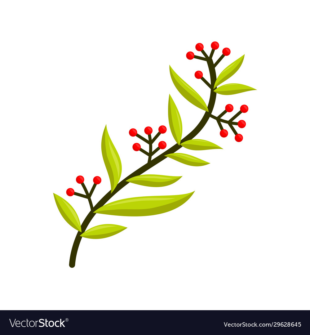 Hand drawn tree branches leaves color Royalty Free Vector