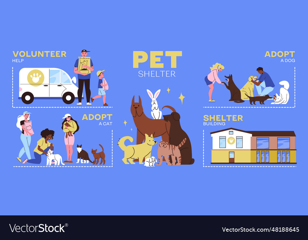 Pet Shelter Infographics Royalty Free Vector Image pet-shelter-infographics-royalty-free-vector-image