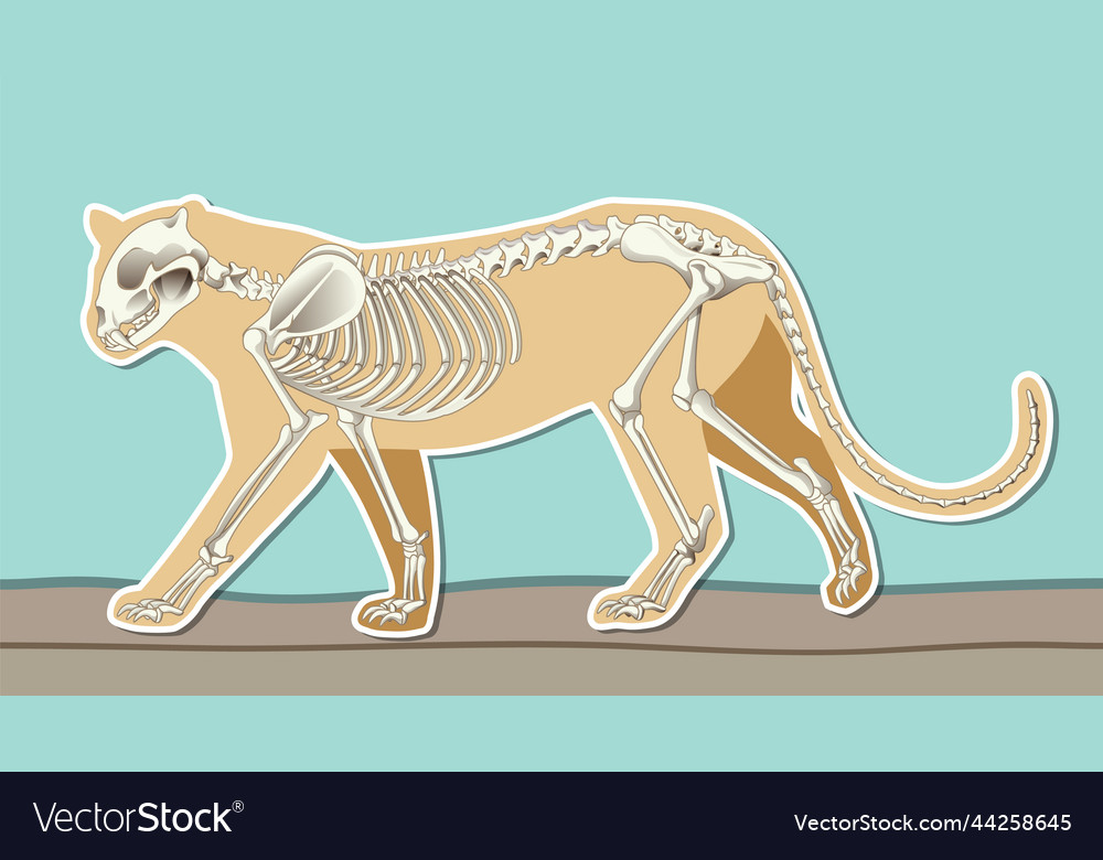 Thumbnail design with skeleton of leopard