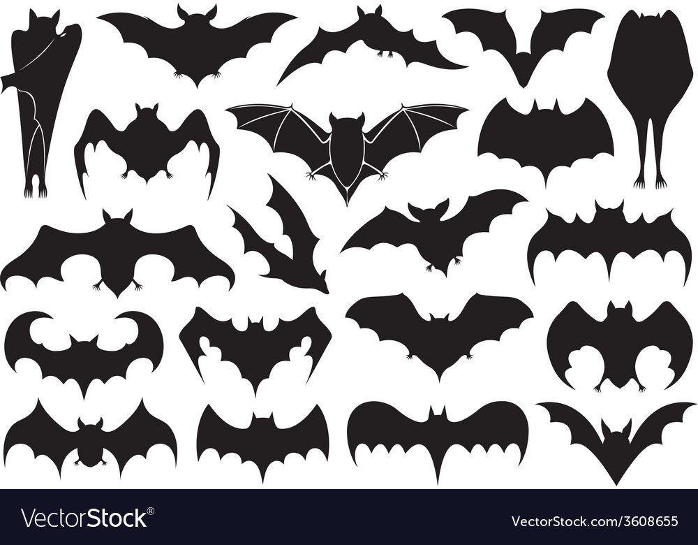 Set of different bats
