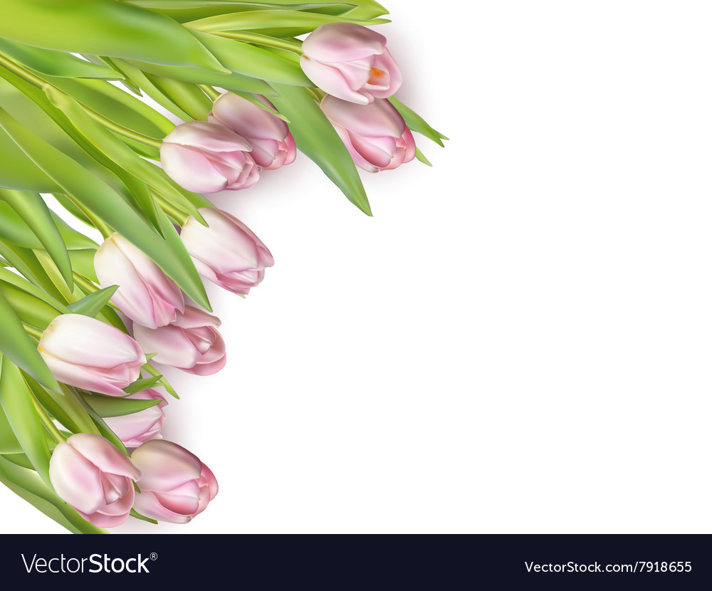 Spring - poster layout eps 10 Royalty Free Vector Image