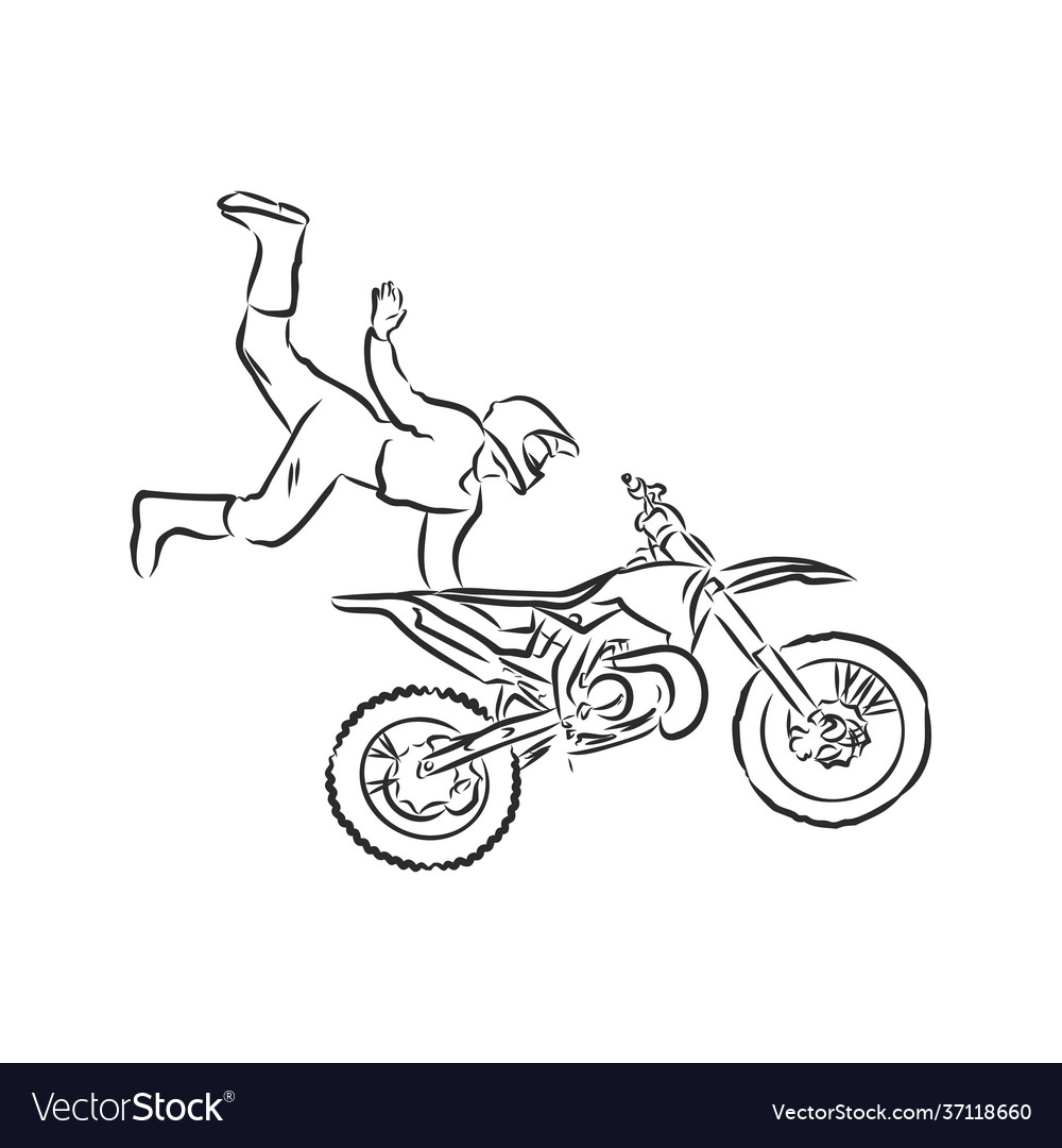 Premium Vector, Motocross illustration designs on solid color