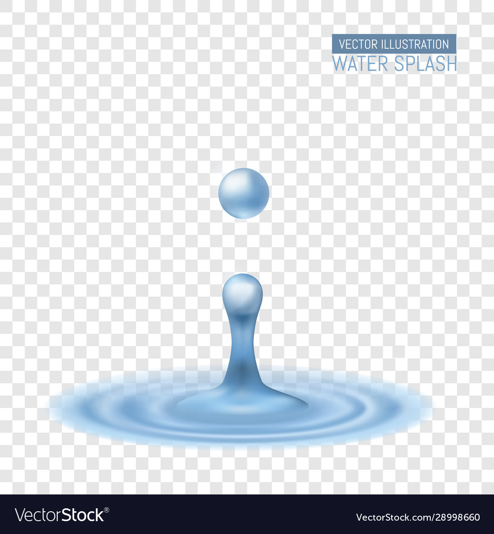 Realistic water splash drop waves Royalty Free Vector Image