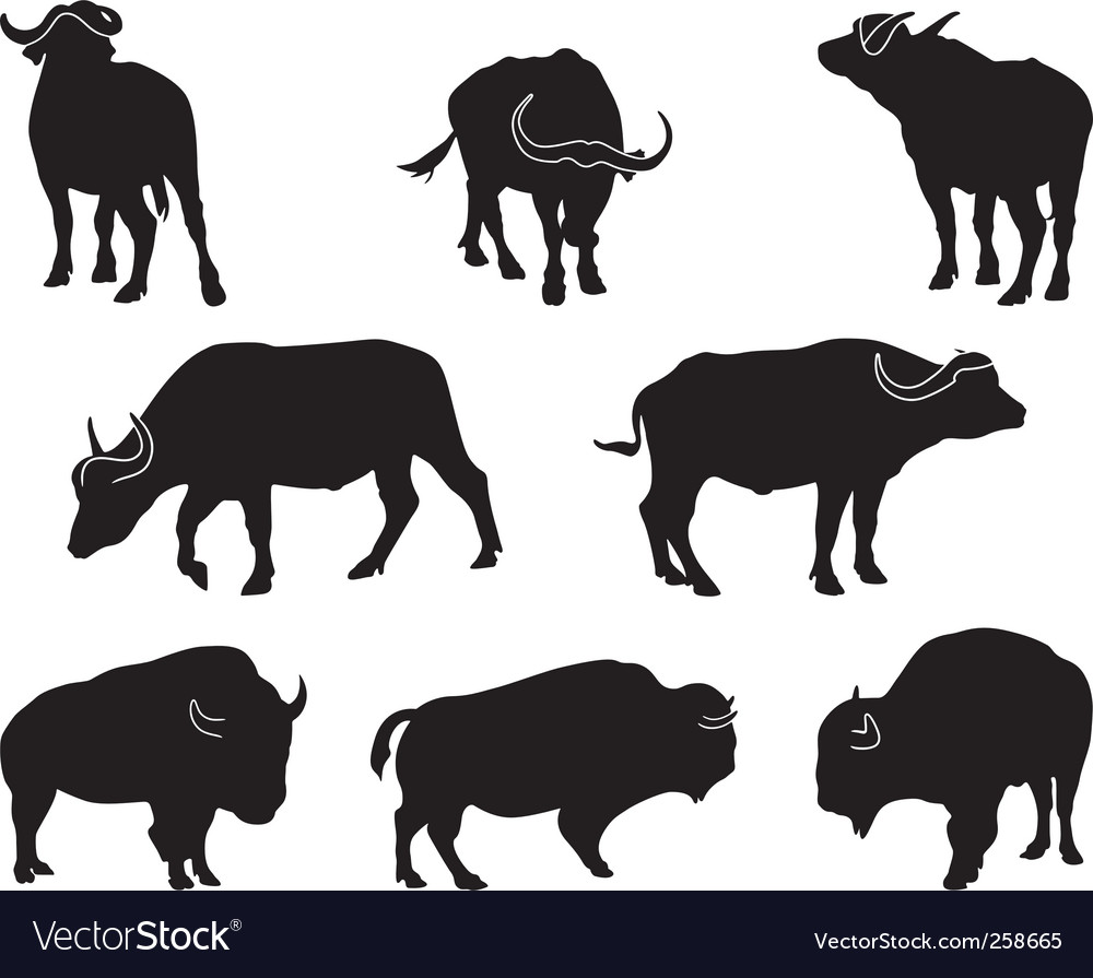 Featured image of post Running Buffalo Vector : Find the perfect dangerous buffalo stock vector image.