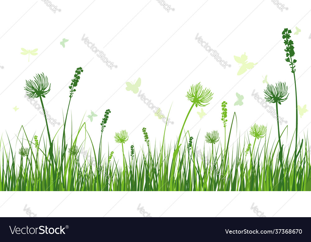 Green grass meadow Royalty Free Vector Image - VectorStock